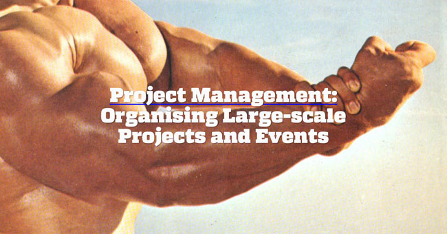 Project Management-web